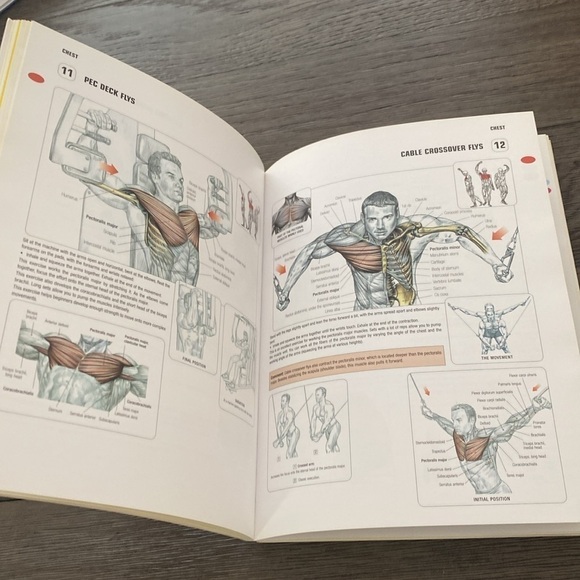 Delavier strength, training, anatomy, second edition - Picture 5 of 10